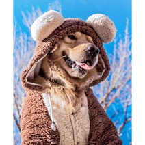 댕댕샤 강아지옷 곰돌이 겨울 옷 중대형 반려견 옷