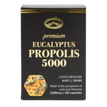 Natures Top PREMIUM EUCALYPTUS PROPOLIS 5000 네이쳐스탑 프리미엄 유칼립투스 프로폴리스 120캡슐