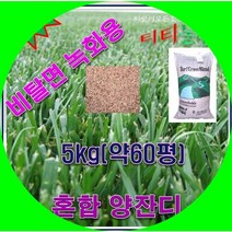 풀씨/혼합양잔디/비탈진 경사면 토사방지 5 kg