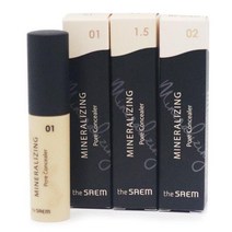 더샘 미네랄라이징 포어 컨실러/프라이머+3중기능커버, 1.5호 내추럴베이지