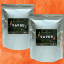 무릎 관절엔 정든팜 우슬두충환 이중지퍼백 500g 1kg, 우슬두충환 500g 2팩