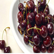 체리 칠레산 생체리 500g 1kg 2kg 3kg 5kg 프리미엄 고당도 항공직송 칠레