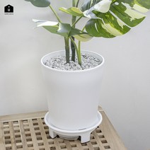 UH홈데코 화이트 플라스틱 화분, 화분 (2호) + 바퀴받침대