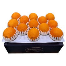 프리미엄 설 선물세트 국내산 과일 수입과일 명절 선물세트 34종, 27.오렌지 선물세트 2호