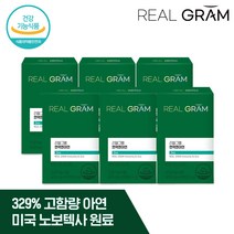 [공식] 리얼그램 면역엔아연 12달분 28mg 고함량 아연 이뮨 면역력 강화 영양제 건강기능식품, 6개, 60정