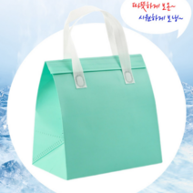 봄봄마켓 부직포 보냉가방 보냉쇼핑백