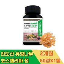 두달 인도산 유향 나무 보스웰리아 성분 원물 캡슐 시니어 프랑킨센스 수액 추출 분말 정 유항 BOSWELLIA 파는곳 보스웰릭산 JOINT 여성 여자 남성 남자 어머니 아버지