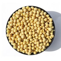 나애게푸드 국산 햇 콩나물 콩 2kg 22년산