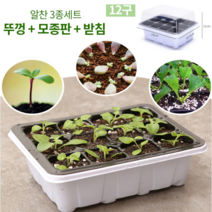 나만의 반려식물 키우기 뚜껑 있는 모종트레이 12구