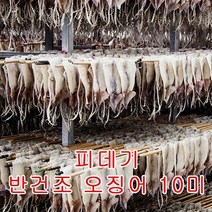 영덕 해풍에 말린 반건조 오징어(피데기) 10미, 소소 10미