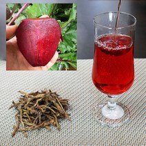 말린비트 무농약 제주아방 건비트 500g 제주비트 햇비트 비트차, 1개
