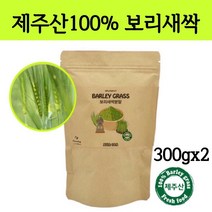 새싹 보리순 분말 국산 보리새싹 뿌리 가루 파우더 차 어린잎 착즙 푸른보리 클렌즈 폴리코사놀 사포나린 내장지방 독소빼는 중금속없는 간헐적 단식 효능 먹는법, 300g, 2봉