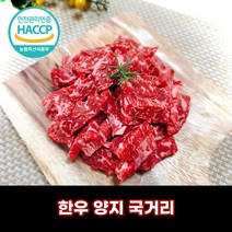 디에스미트 한우 양지 국거리 우시산한우 1등급이상 냉장, 1kg, 1개