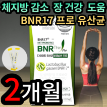 [다이어트유산균] BNR17 비에날씬 프로 다이어트 유산균 식약처인증 김희선 광고 체지방 감소 모유유래 배변활동원활 유산균 프로바이오틱스 비애날씬 비엔알씬 비엔알씨 비에날씨, 30캡슐 (2개월 분), 2개월분 (30260원 할인)