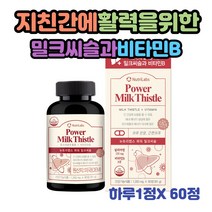 직장인 간피로영양제 밀크씨슬 + 비타민 파워밀크씨슬60정 밀크씨슬 비타민B1B2B6B12, 1개, 60정