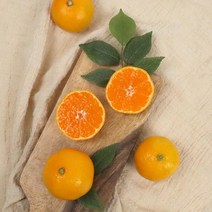 제주직송 고당도 하우스 감귤 1.5kg 2.5kg 4.5kg 꼬마소과 로얄과, 1개