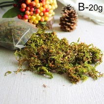 비바리움 이끼테라리움 액자 20g50g100g 인공 이끼 시뮬레이션 가짜 녹색 식물 이끼 홈 장식 벽 diy 마이크로 조경 액세서리, b-20g