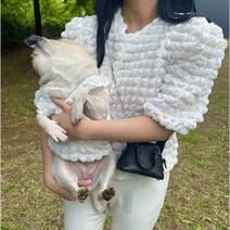 [당일출고] 강아지 견주 커플룩 개플룩 강아지반팔 꾸꾸꾸 (강아지용) 2color, 핑크, S