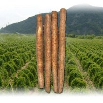 정도원 장마상품 /장마중품/ 장품소자/2kg 4kg, 장마 알뜰마, 2kg