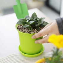 홈가드닝 실내인테리어 토기 미니화분 동그라미 4호, 옐로우