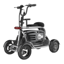 삼륜 스쿠터 강아지 출퇴근 미니 전기차 오토바이, 듀얼 드라이브 미드레인지 구성 48V