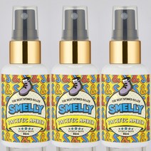 스멜리(SMELLY) 신발용 탈취제 삭스앤슈즈 퍼시픽앰버 55ml, 3병