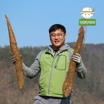 [안동직송] GAP인증받은 안동 장마(특상품) 2kg/3kg/5kg, 장마(특품) 2kg