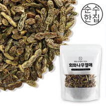 순수한집 회화나무열매, 600g, 1개, 단품