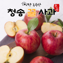 청송 사과 선물세트 설선물 명절선물 세트 꿀사과 부사 사과직거래 5kg 10kg, 가정용 흠과 주스용 8kg