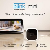 Blink Home Security 스마트 보안 카메라 1080 HD 야경 모션 감지 5x5x3cm 1개, 단일옵션