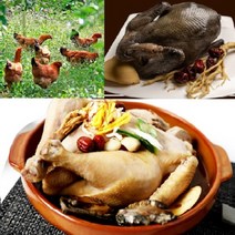 토종닭 2.4kg내외 오골계 백숙용 생닭 [티백 증정] 볶음탕 제사용닭 생오리 시골토종 몸보신용 주문손질 [17시이전주문 당일발송], 토종장닭 (2.2kg내외) 1개 + 백숙재료 무료