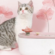 고양이 세라믹정수기 분수대 음수대 도자기정수기, 정수기 본품+원목 받침대