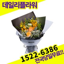 노랑장미혼합 꽃다발 꽃바구니 출산 생일 전국 꽃배달서비스 생화 기념일 프로포즈 졸업 축하 당일 배송