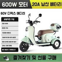역삼륜 오토바이 배달 스쿠터 소형 출퇴근용 전기스쿠터, 60V 600W 모터 + 20A 납축전지