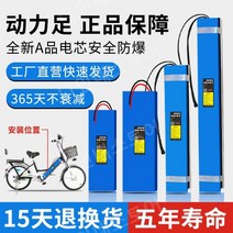 전동킥보드보조배터리 납짝이파워뱅크 튜닝 벌크 전동, 24V10AH 새로운 국가 표준 [방폭]