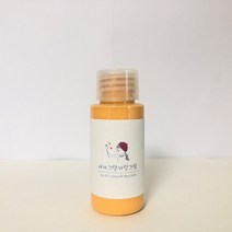 소량페인트 벽지 가구 소품 셀프 리폼 아이방 유치원 마카롱컬러 30-250ml, 주황, 250ml