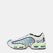 나이키 남성 AIR MAX TAILWIND IV SE CJ0641-100