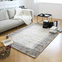 모던클래식 아슬란터키산 디자인 카페트 80x150 - 2color, 타입2