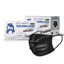 그린비 국내생산 공산품 4중 일회용 덴탈 마스크 대형 블랙 100매, 50매, 2개