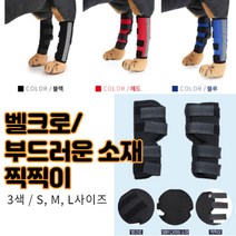 최강몰 강아지 말티즈 슬개골 쓸개골 고관절 골절 탈골 탈구 마사지 보호대 S M L 쓸개골보호대, 블랙M