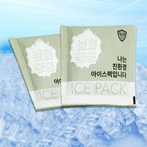 항균 친환경 미니 아이스팩 은나노 얼음팩 얼음주머니 20개