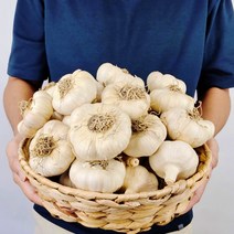 산지직송 농장직송 유황 먹은 홍산마늘, 3kg / 특대, 1개