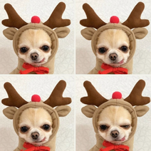 루돌프 st 귀여운 강아지 후드티 소형견 프랜치 불독 말티즈 시츄 옷 순록 사슴 디자인, 루돌프S