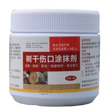 분재 식물 접목 모종 피막 코팅제 500g 톱신패스트 봄, B(500g)