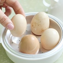 귀욤꼬꼬 전자렌지 계란삶기 호빵 만두 달걀찜기 4구, 단품, 단품