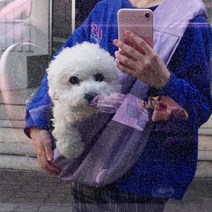 심지 반려동물 슬링백 이동가방 6kg 비숑 가볍게, 그레이