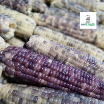 옥과농협 처음처럼 냉동 찐 흑찰옥수수 진공포장 16CM이상 3개입, 5팩