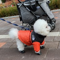 강아지 명품 겨울 패딩 점퍼 소형견 중형견 대형견 강아지 겨울 옷 닥스훈트 프렌치 불독 비숑 말티즈 푸들 리트리버 시바견, 블랙