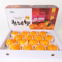 제주 천혜향 레드향 한라봉 명절 선물세트 3kg 5kg, 한라봉 3kg