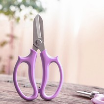 꽃꽂이 가위 줄기 가시제거 미니가위 2P 전정가위